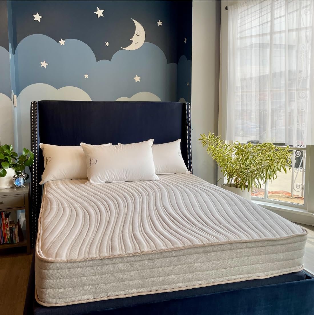 Ethical Mattress CO 10-inch Mattress, Organic & Toxin-Free, Queen Size
