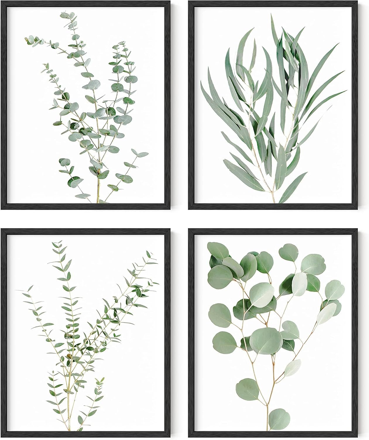 HAUS AND HUES Botanical Plant Wall Art Prints – Set of 4 Plant Decor Prints, Floral Kitchen Pictures, Flower Leaves Wall Art, Boho Leaf Eucalyptus Wall Décor (8×10, UNFRAMED)