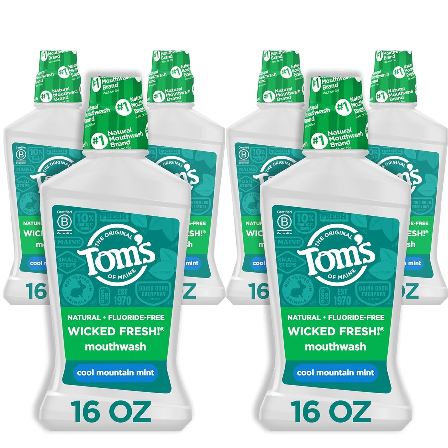 Tom’s of Maine Wicked Fresh Mint Mouthwash, Bulk 6 Pack, 6 oz