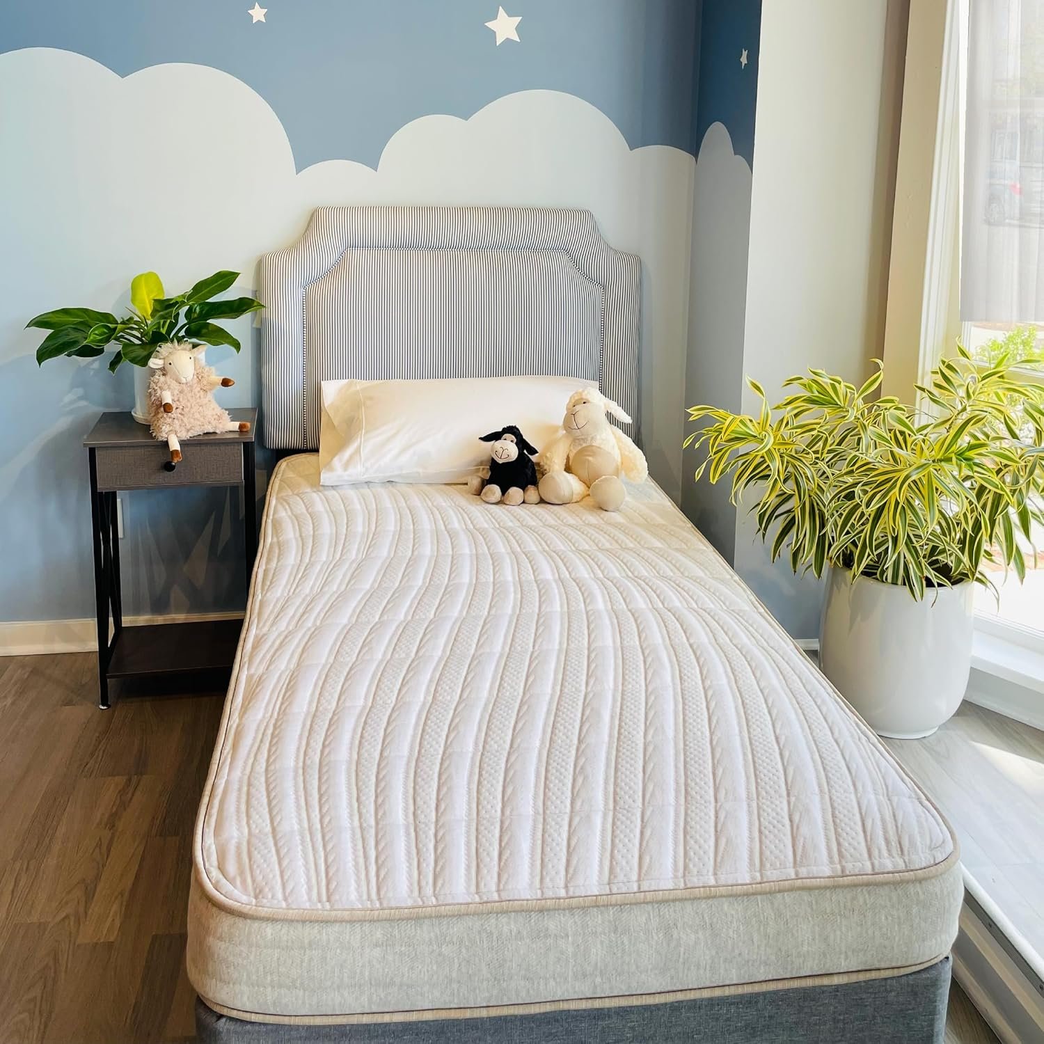 Ethical Mattress CO 6-inch Kid’s Mattress, Organic & Toxin-Free, Twin Size